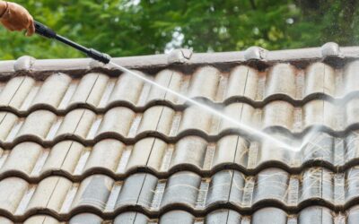 The Importance of Regular Roof Cleaning
