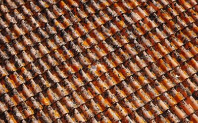 3 Benefits of a Clean Roof in Phoenix