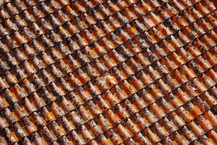 Benefits of a Clean Roof