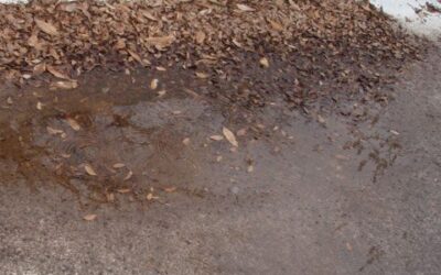 Roof Damage Caused by Monsoons in Phoenix