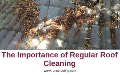 Importance of Regular Roof Cleaning
