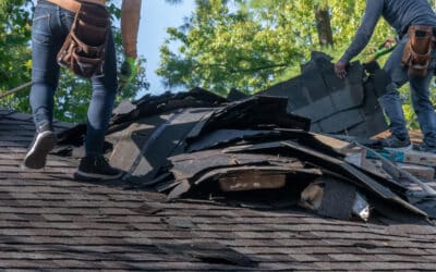 4 Phoenix Dust Storm Damage Prevention Tips