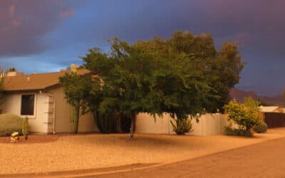 5 Tips to Protect Your Phoenix Roof From Monsoon Weather