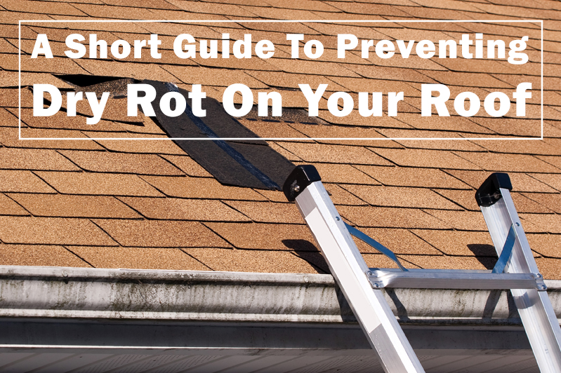 Preventing dry rot on your roof