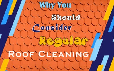 4 Reasons for Why You Should Clean Your Roof Regularly