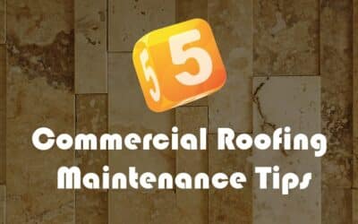 5 Commercial Roofing Maintenance Tips in Phoenix