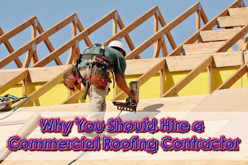 Roofing Contractor Installing Plywood