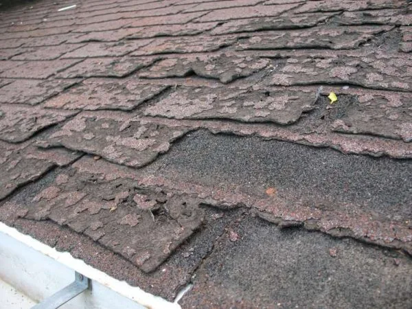 Damaged Roof Shingles