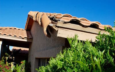 Understanding & Preventing Wind Damage to Your Roof