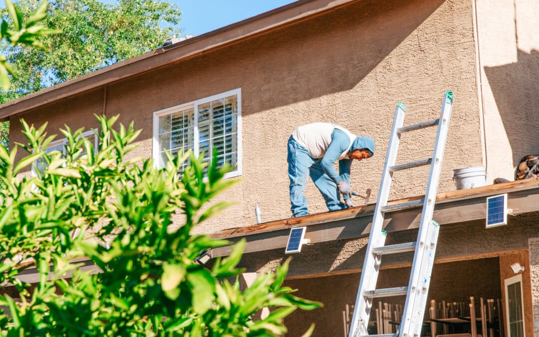Weekend Warrior’s Guide to Phoenix House Roof Maintenance