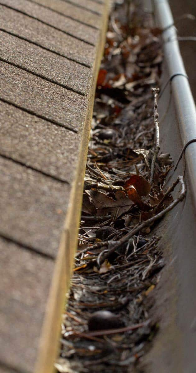 Roof gutters filled with leaves and debris