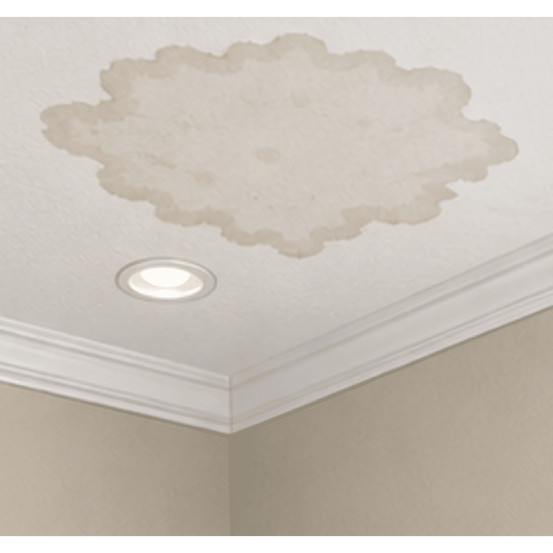 Ceiling stains or interior water