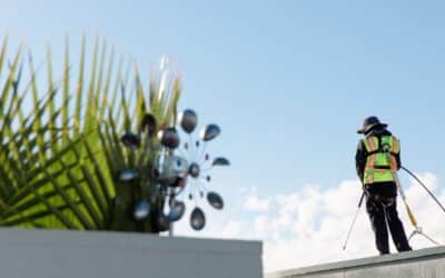 6 Things Every Phoenix Homeowner Should Check on Their Roof in January (2026 Guide)