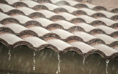 What Happens If You Ignore a Roof Leak During Monsoon Season in Phoenix