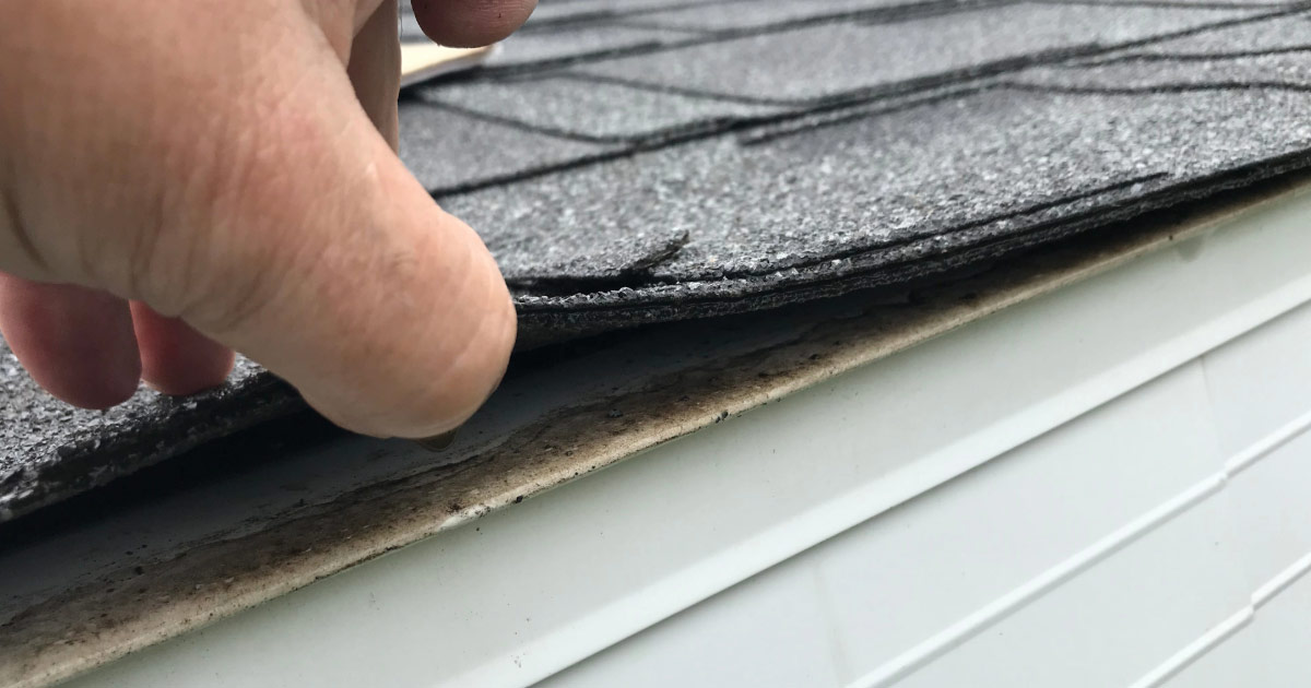 Avondale roof tiles being lifted up by inspector