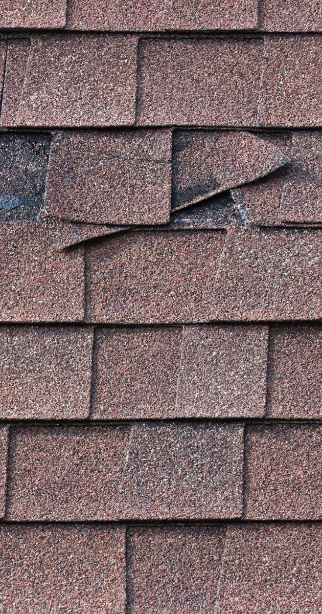Roof shingles damaged from monsoon storm