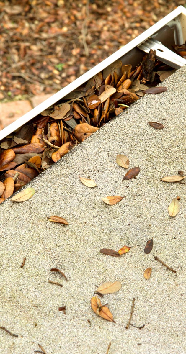 Roof gutters in Chandler filled with leaves and debris